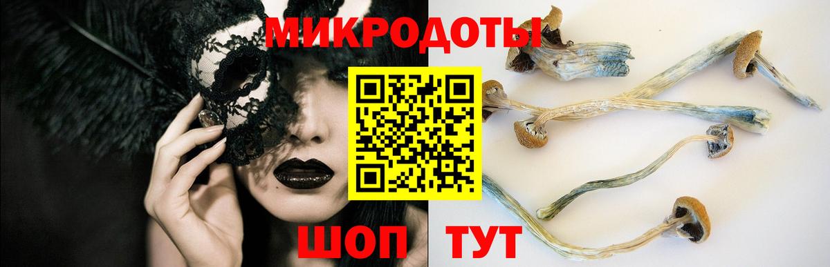 магазин    Вход с VPN  Псилоцибиновые грибы GOLDEN TEACHER  Саяногорск  Галлюциногенные грибы мицелий 